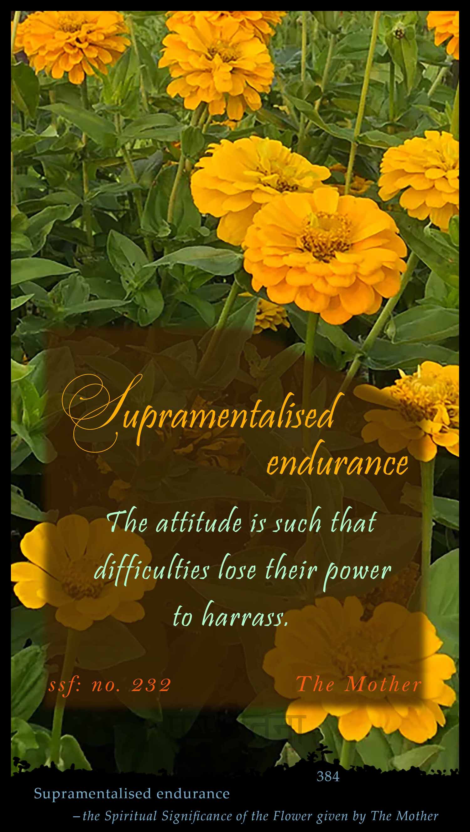 Supramentalised Endurance